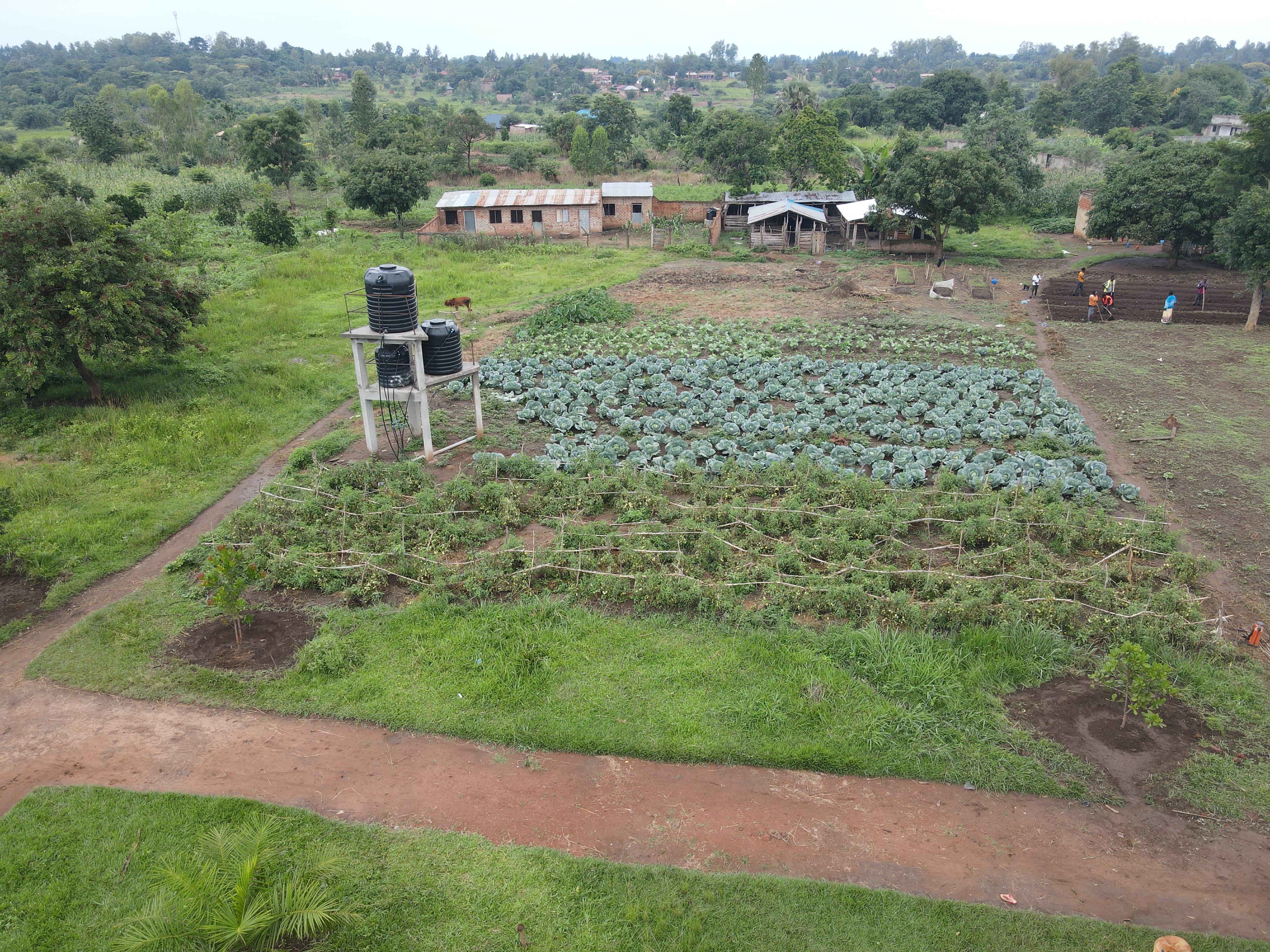 Solar panels in a farm field with irrigation system