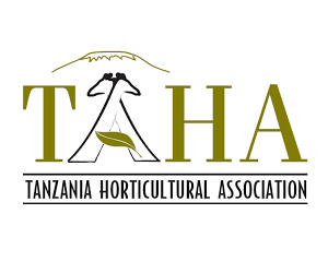 TAHA-logo